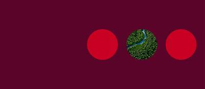 SCI24CS1909254-Webpage---Capability-of-ULTRUS-ESG-Collections---Header-image-2400x1600