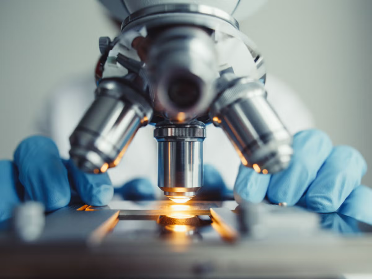 microscope