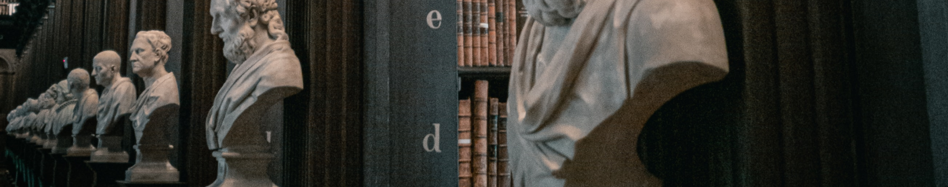 条款和法律信息