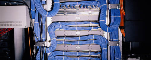 A close-up image of blue telecommunications cable.  